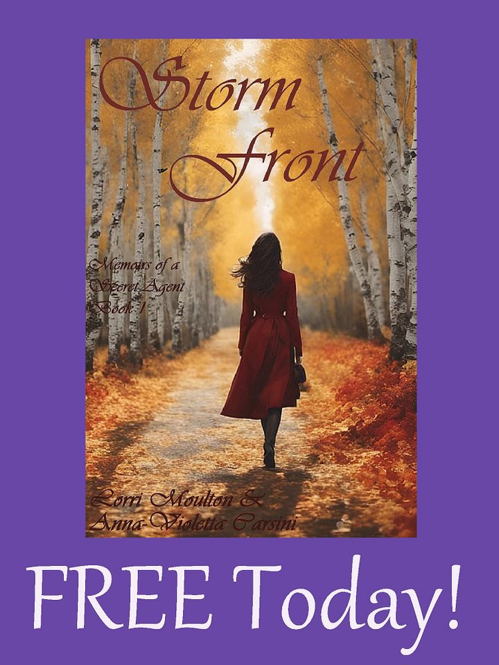Storm Front EBOOK - FREE TODAY! product image (1)
