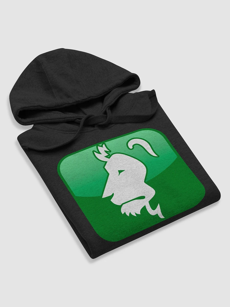 Copy of ARIES Hoodie product image (56)