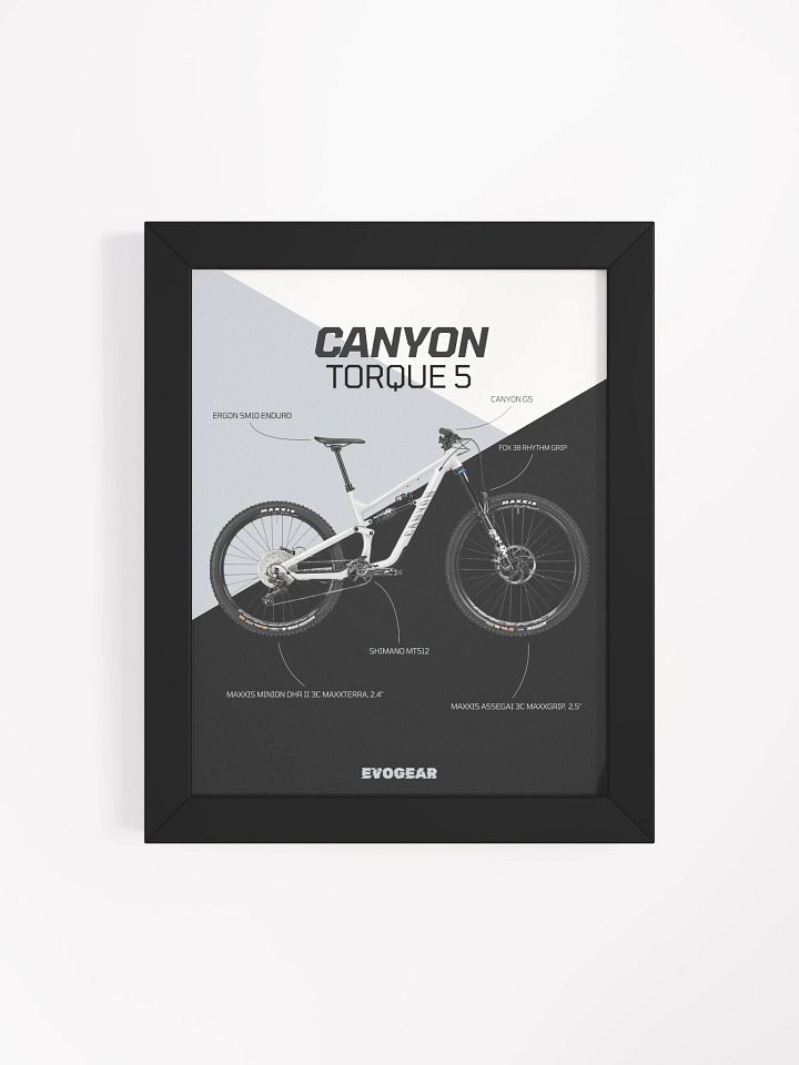 Canyon Torque 5 frame product image (1)