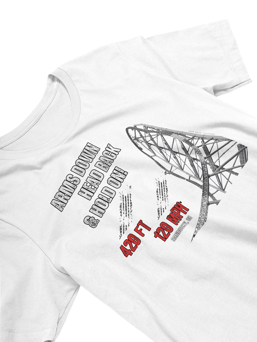 Arms Down, Head Back & Hold On - 420/120 Tee product image (12)