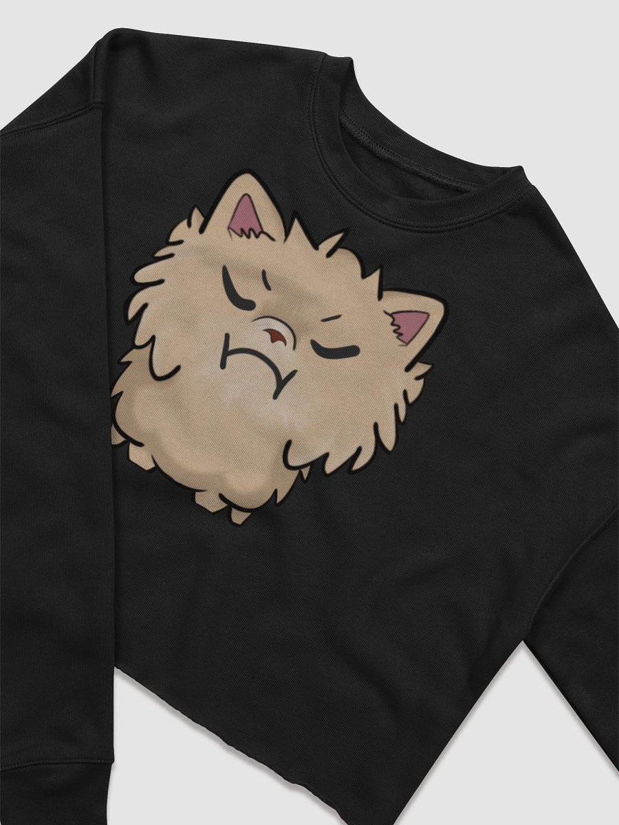 Sassy product image (3)