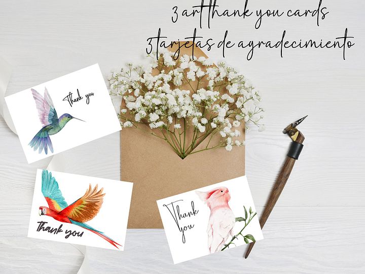 thank you cards bird 3 different birds product image (1)