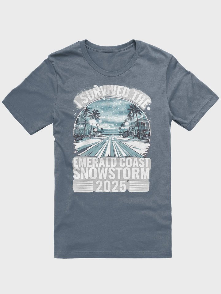 I Survived the Emerald Coast Snowstorm 2025 - Bella Canvas product image (1)