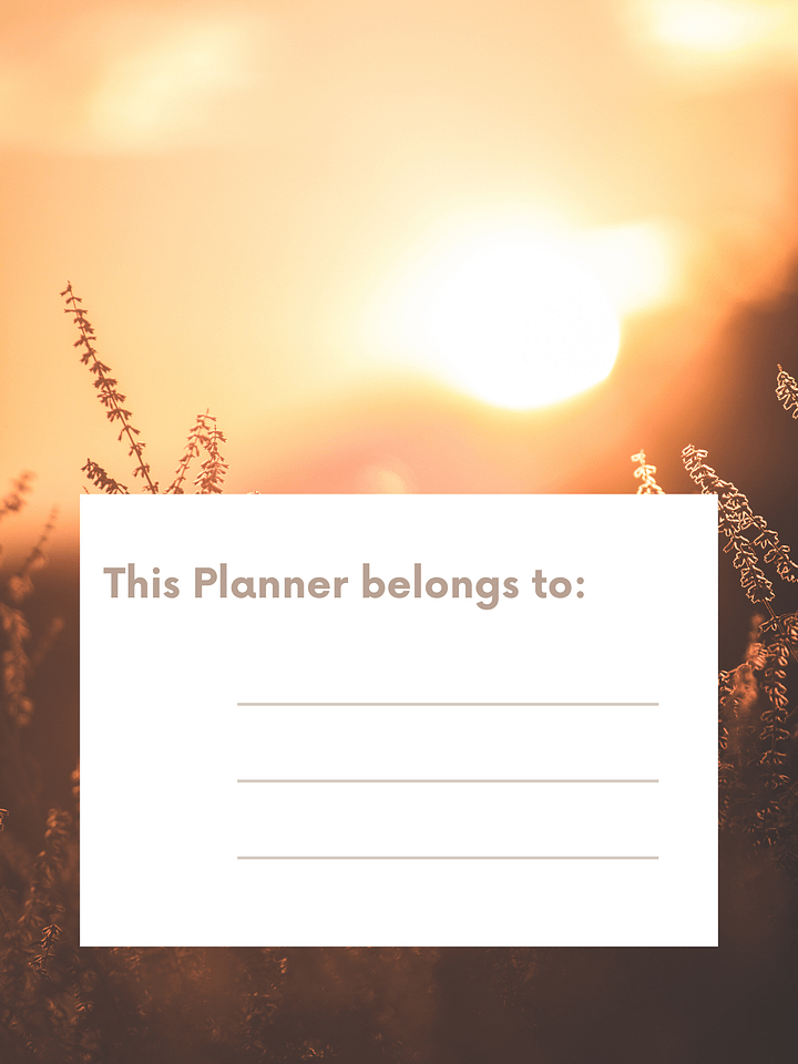 Law of Attraction Success Planner product image (2)