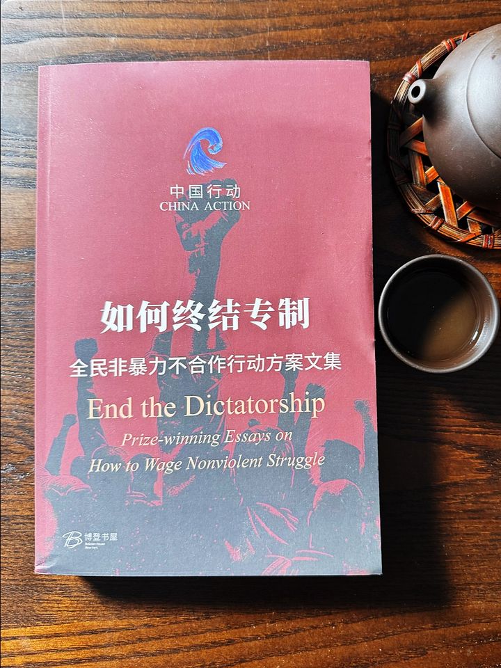 如何終結專制——全民非暴力不合作行動方案文集 product image (1)