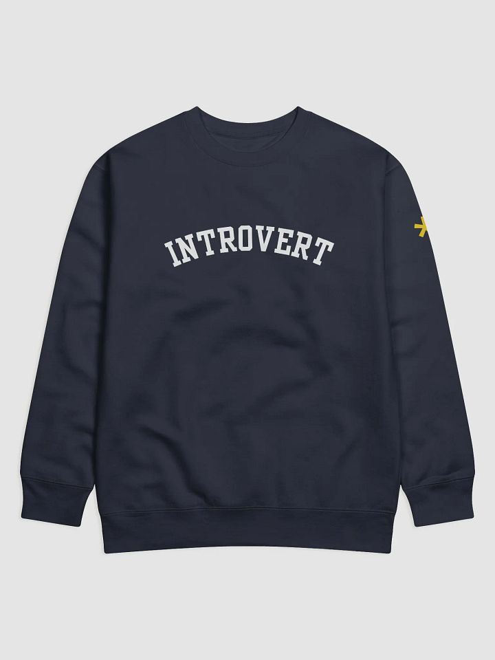 Introvert Premium Sweatshirt product image (1)
