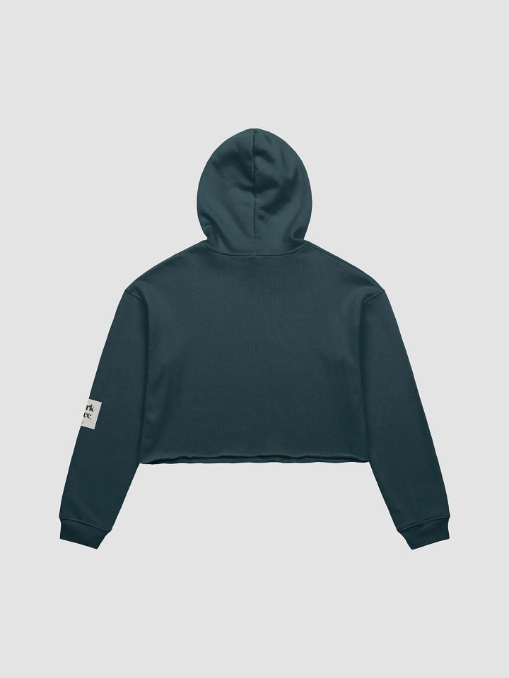 Diabolical Grad 1 Cropped Hoodie product image (2)