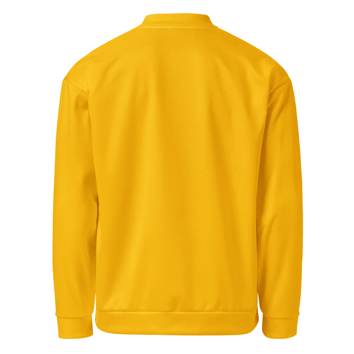 Plain Color Amber Bomber Jacket product image (2)