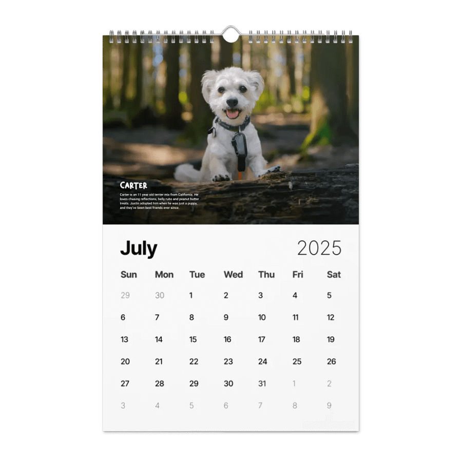 Official 2025 Calendar product image (7)