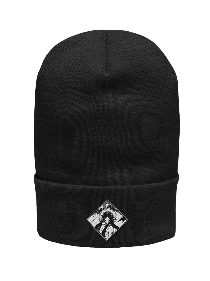 RTS Denver, CO - Beanie (Embroidered) product image (4)