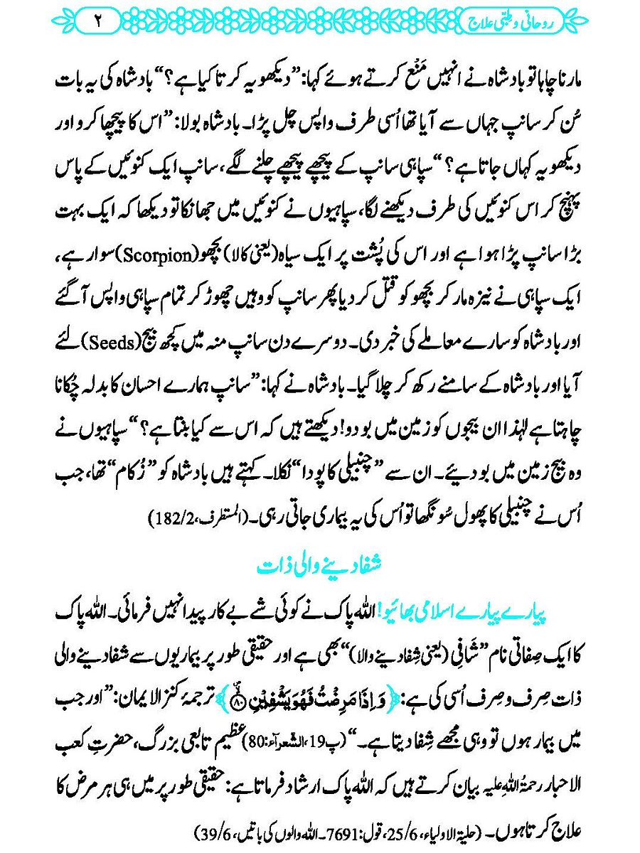 Rohani Aur Tibbi Ilaj product image (3)