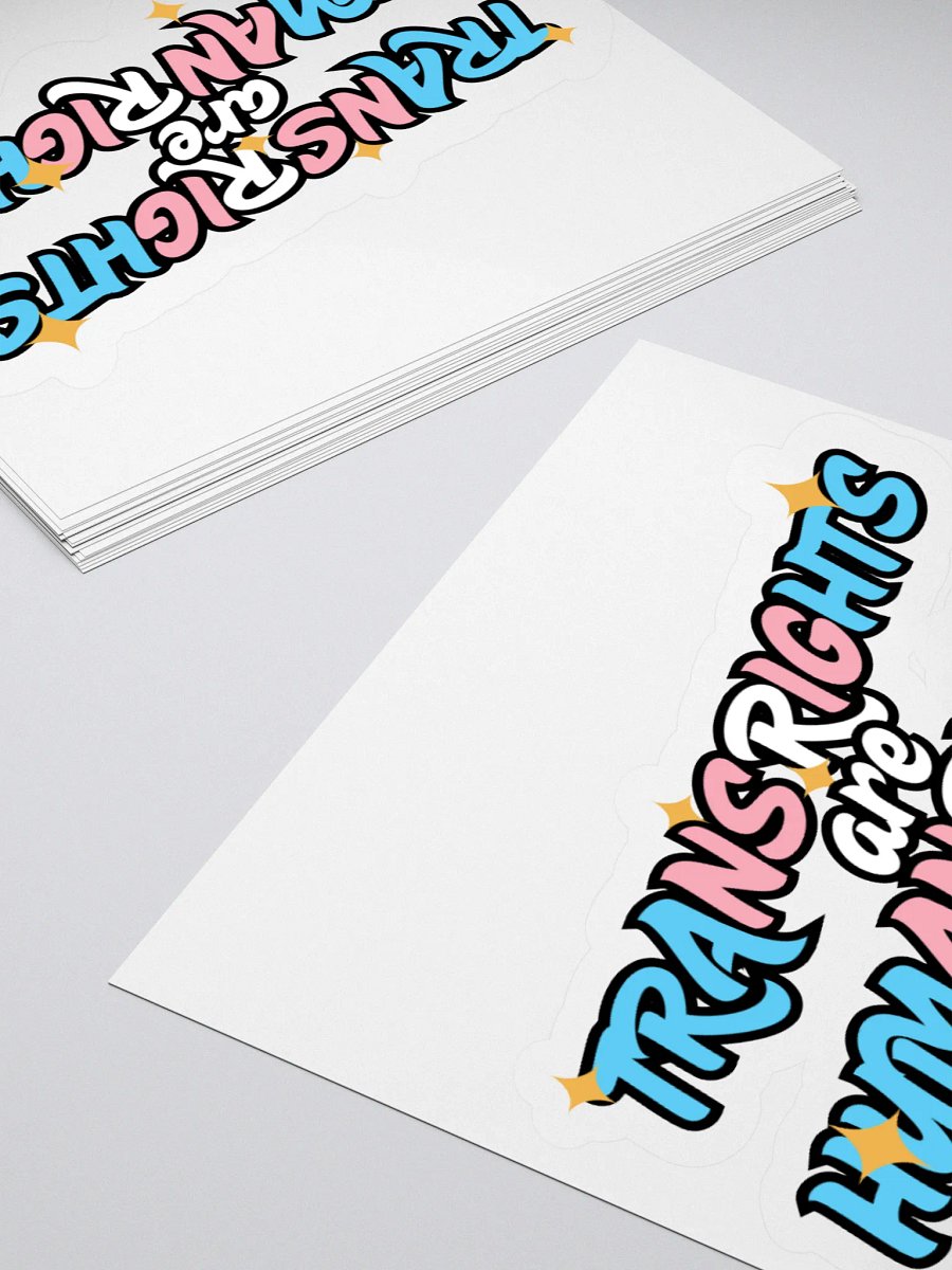 TRANS RIGHTS ARE HUMAN RIGHTS Sticker product image (12)