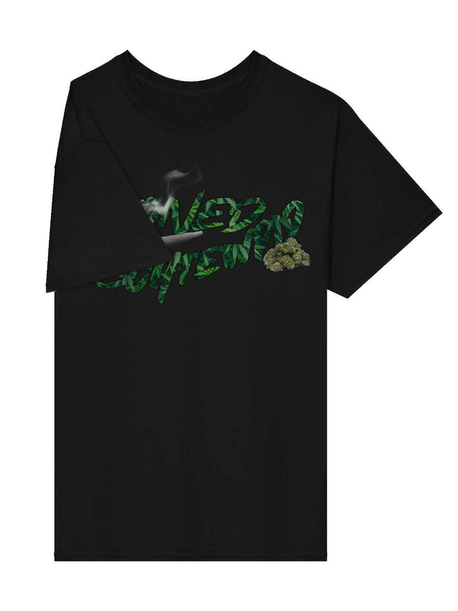Stoned Schtewpid Tee product image (27)