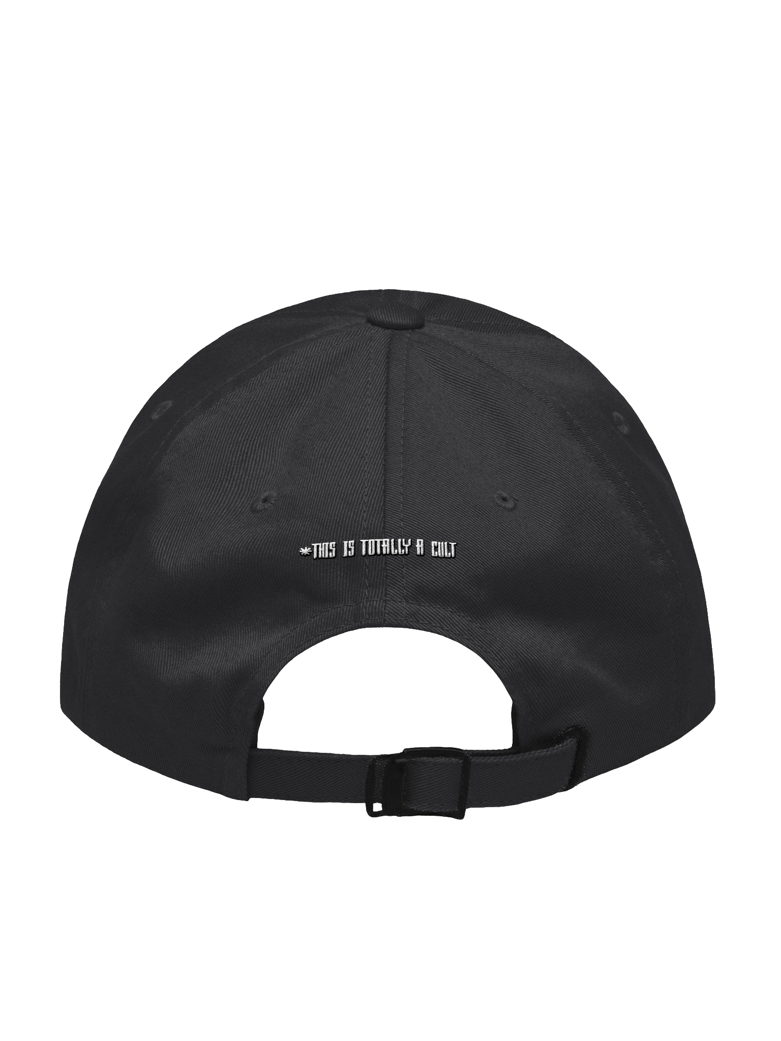 This Is Not a Cult - Yupoong Classic Dad Hat product image (4)
