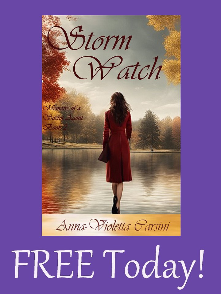 Storm Watch EBOOK - FREE TODAY! product image (1)