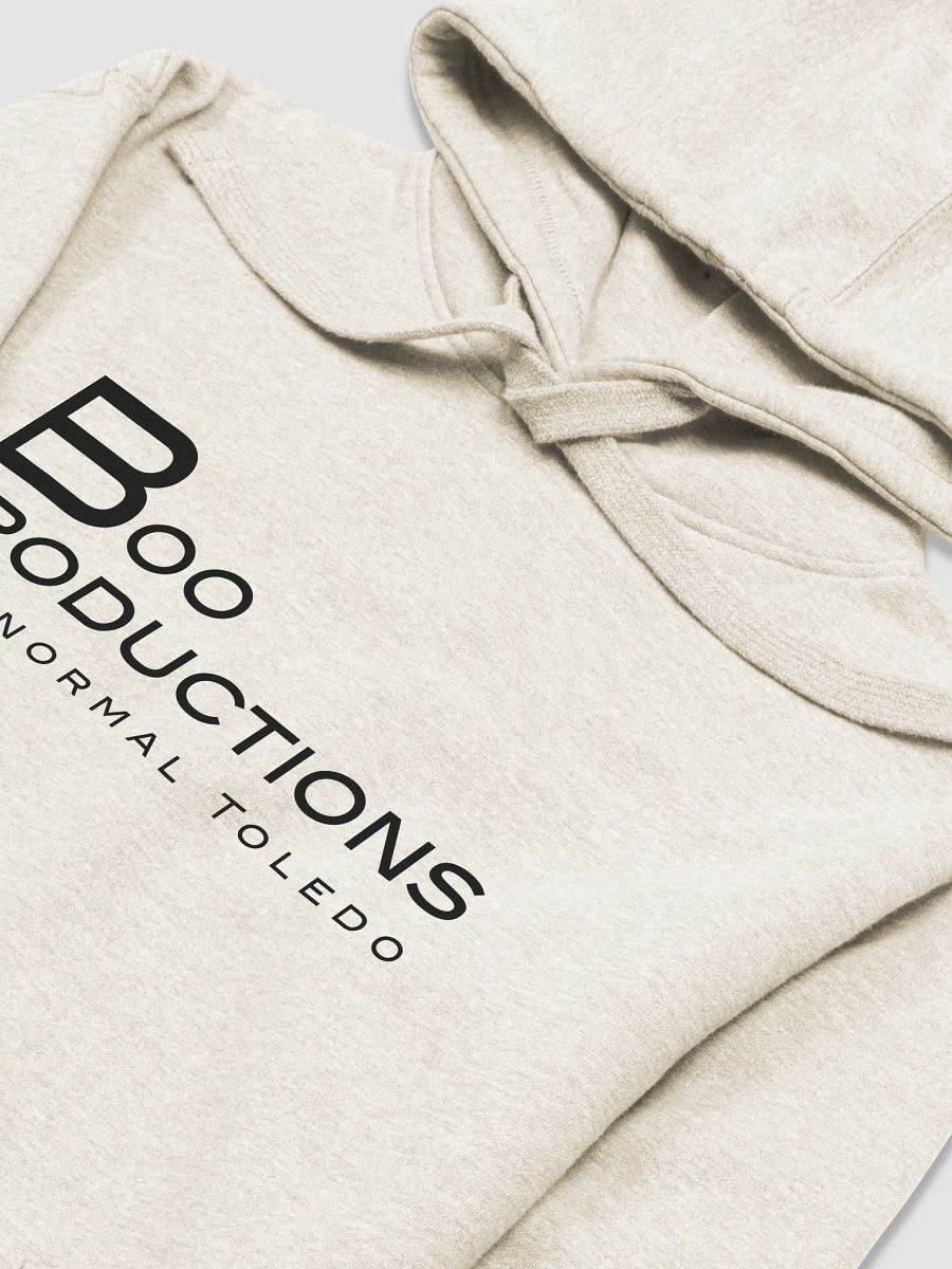 BPPT Logo Black Hoodie product image (3)