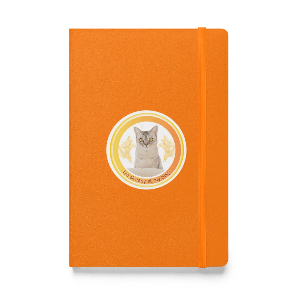 KC, At My Limit (kitty), Journal product image (1)