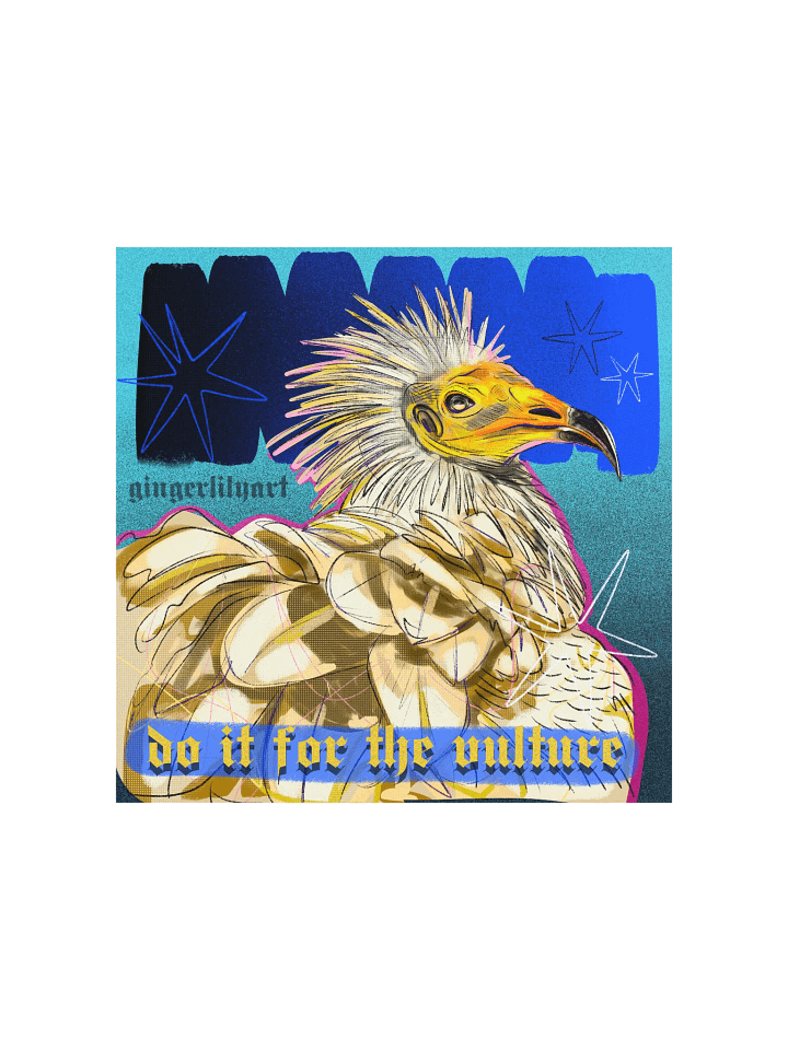 egyptian vulture print product image (1)