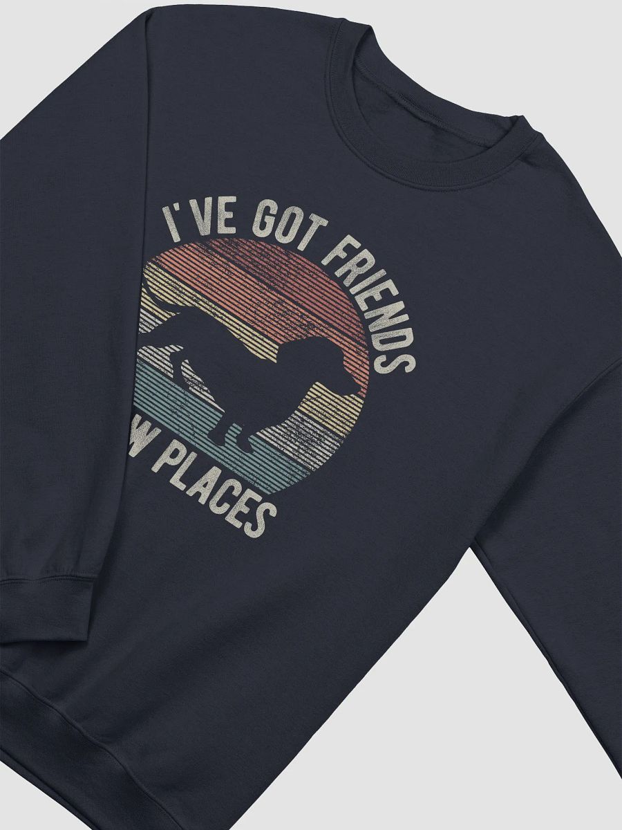 I've Got Friends in Low Places Dachshund Sweatshirt | Funny Vintage-Style Shirt for Wiener Pawrents product image (15)