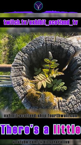 info...

Sign up to a membership subscription, get access to Exhibit Scotland products and merchandise https://exhibit-scotla...