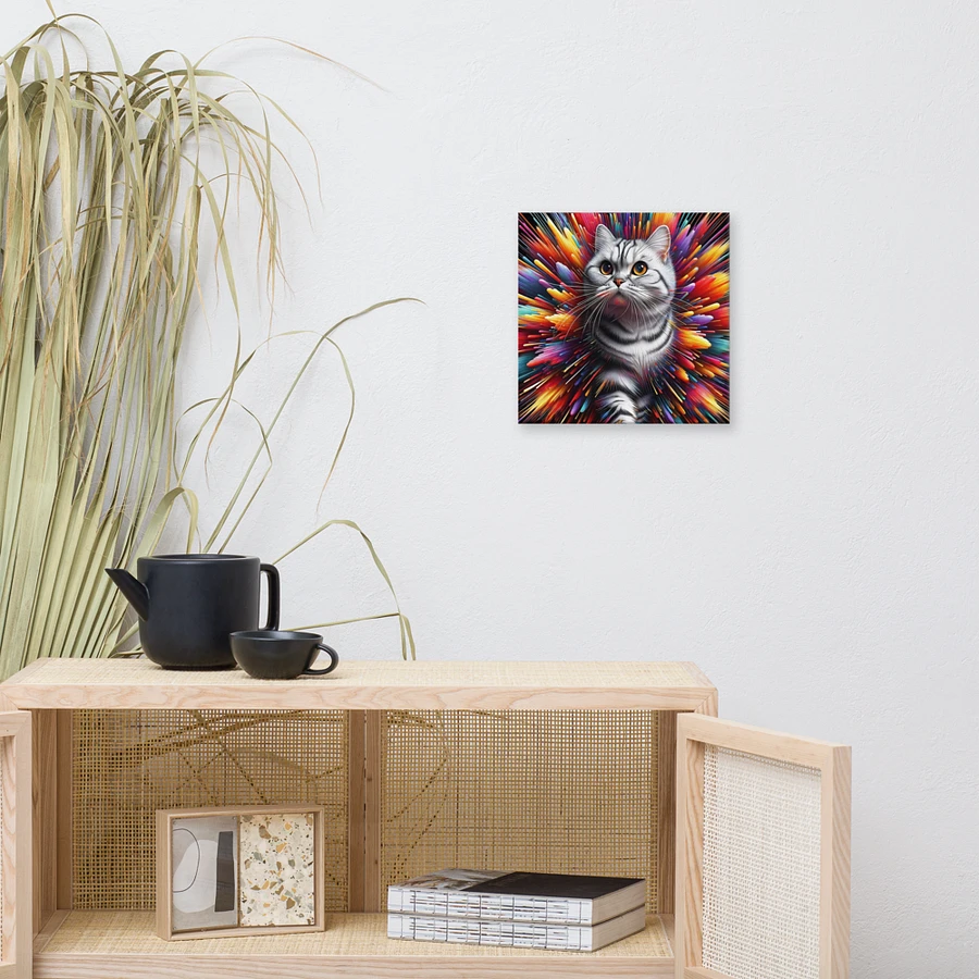 Canvas (in): American Shorthair product image (9)