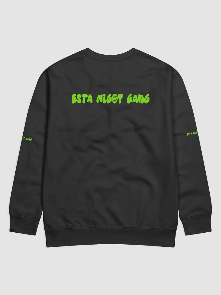 Esta Migoy Sweater product image (2)