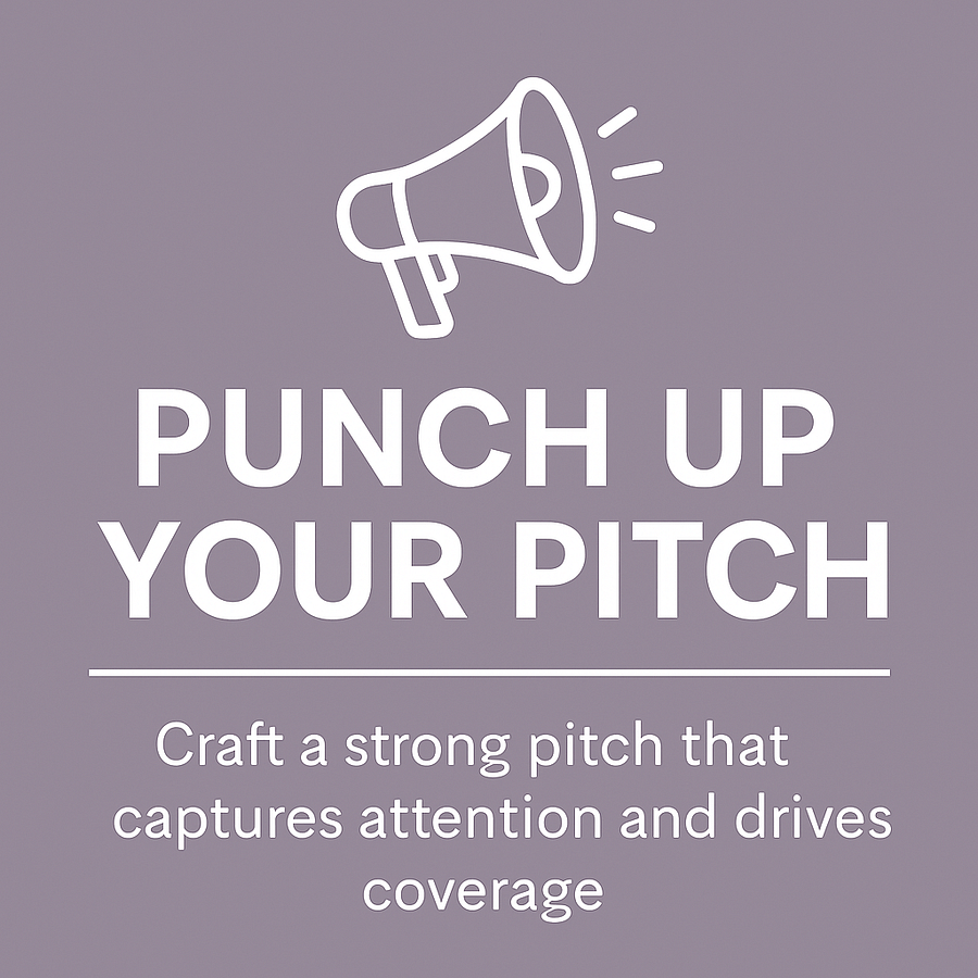 Punch Up Your Pitch product image (1)