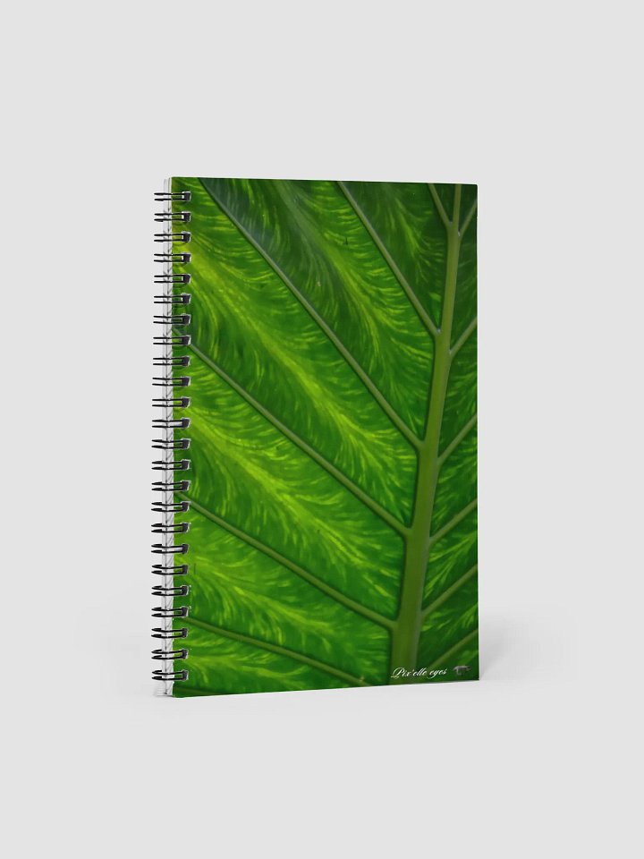📘 Notebook Collection PURE – Jardin du Rayol – Veines de lumière product image (1)