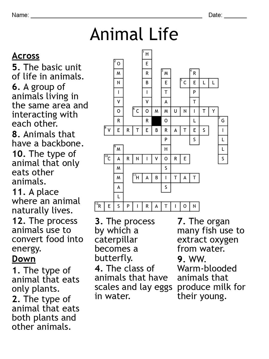 Printable Animal Life Crossword Puzzle product image (2)