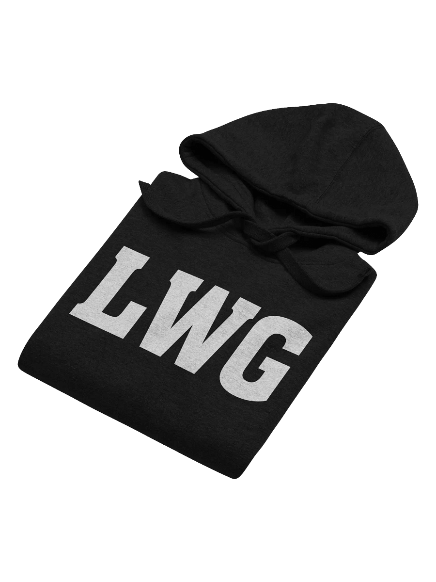 LWG Bold Unisex Hoodie product image (31)