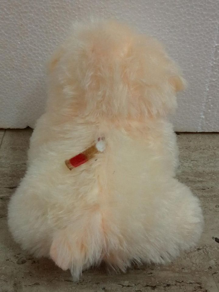 DOG SOFT TOY product image (2)
