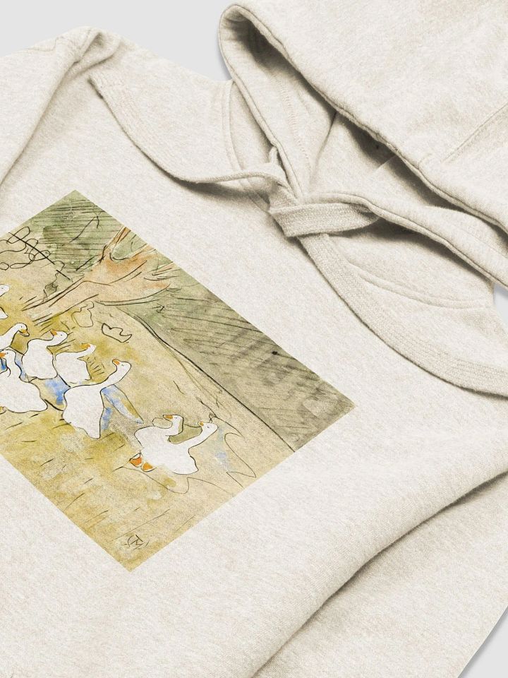 1873 Ducks Hoodie product image (1)