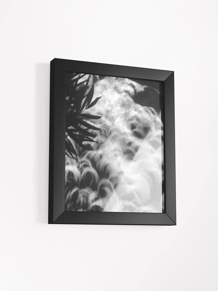 Crescents of Light from the Eclipse - Print 2 - Framed Poster product image (2)