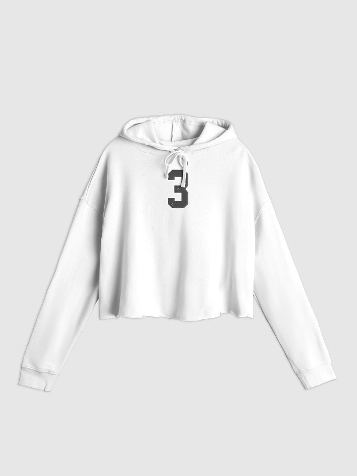 Three Year Silver Crop Hoodie product image (5)
