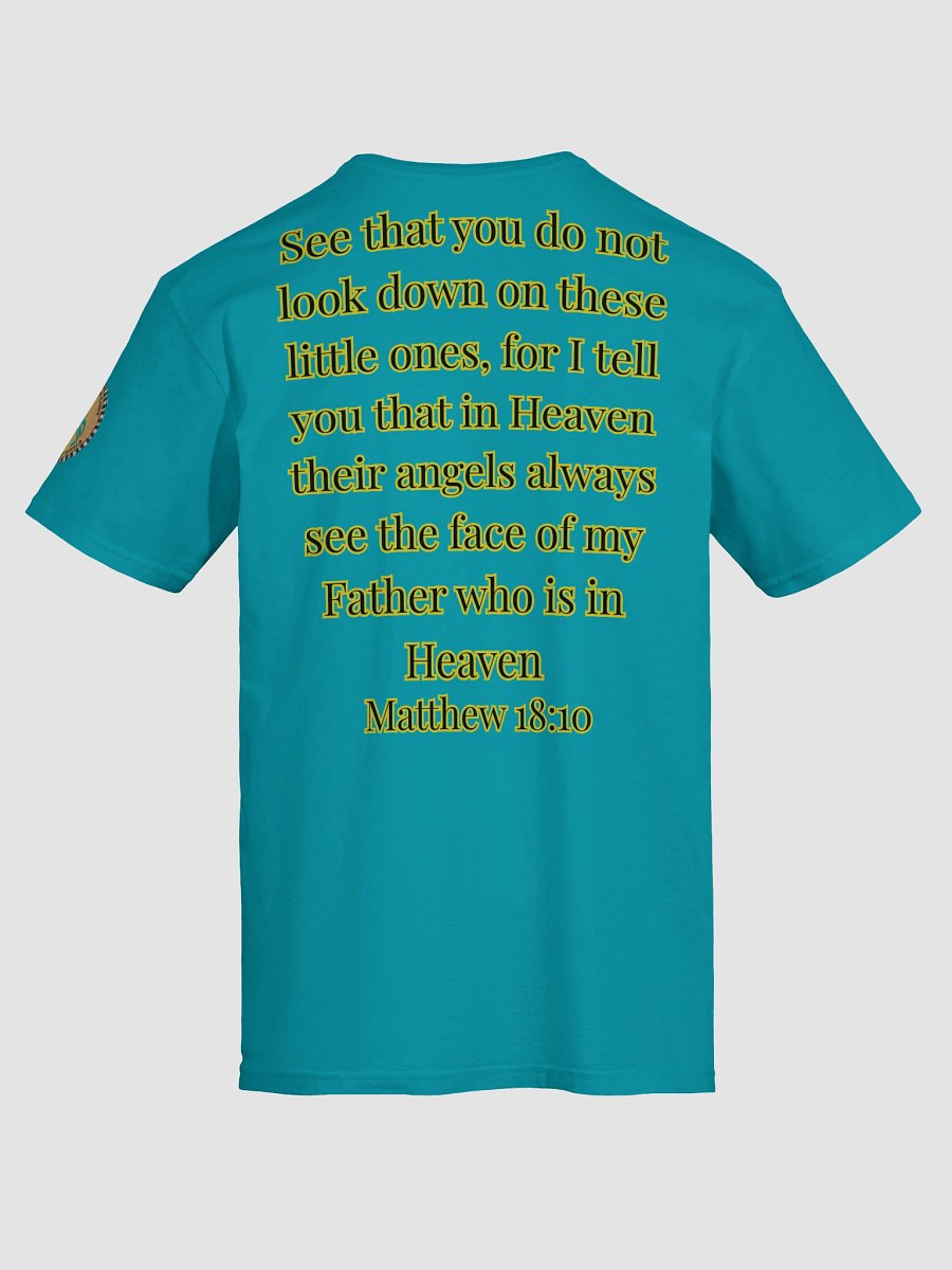 Angels Watch Over Them (Male) Gildan Unisex Softstyle T-Shirt Light Colors product image (17)