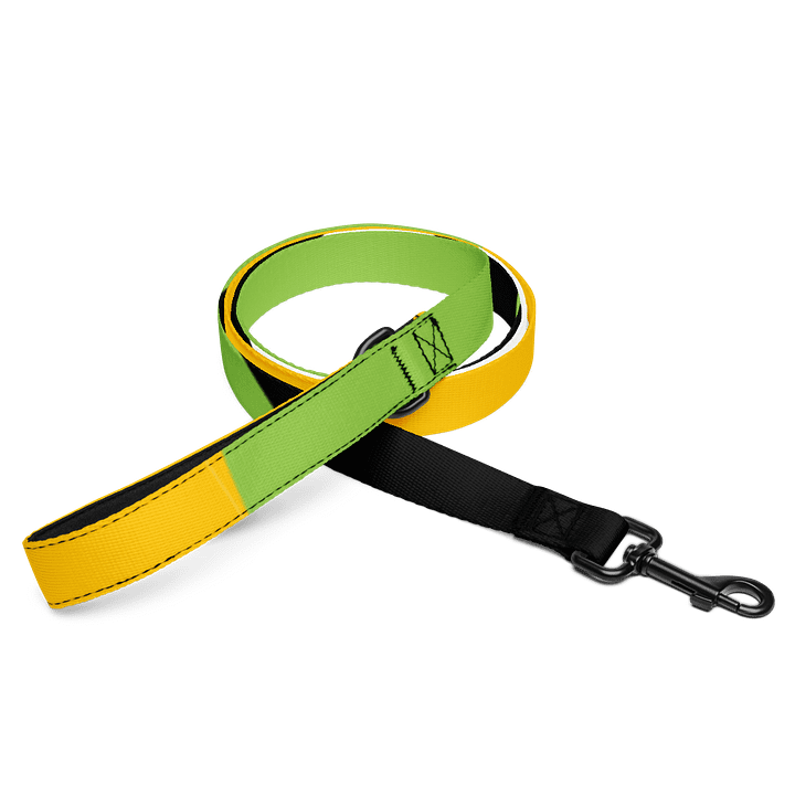 Lucky Dog Gradient Stripes Pet Leash #003 product image (1)