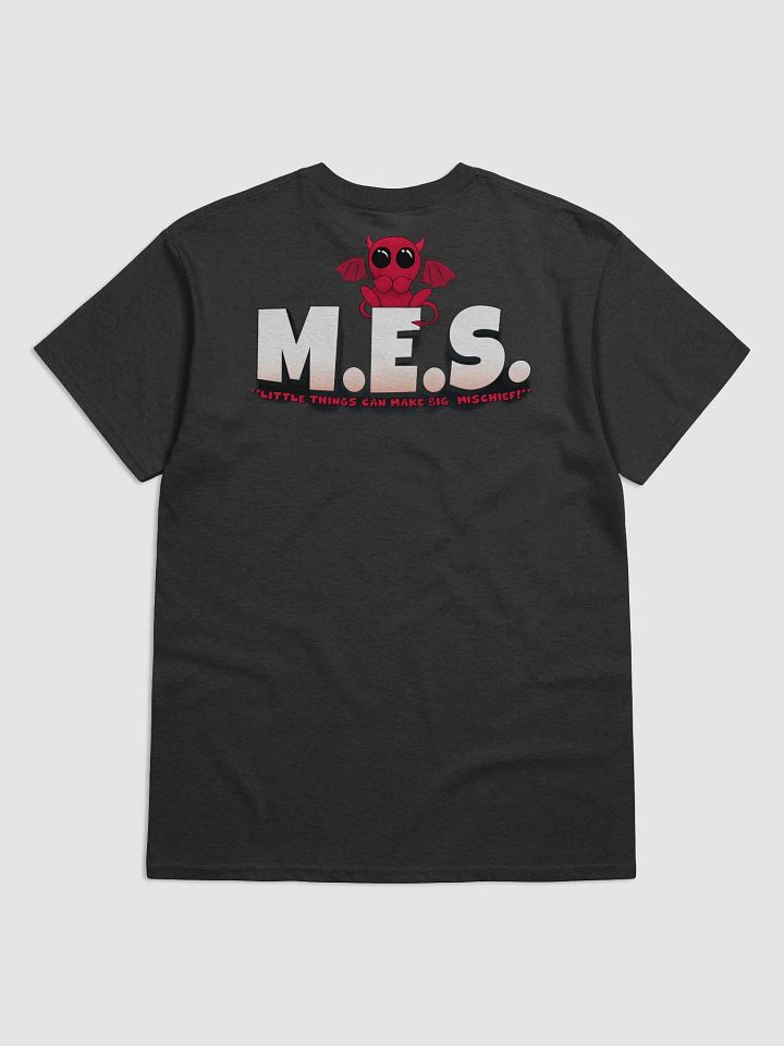 Little Things - Heavyweight Tee product image (2)