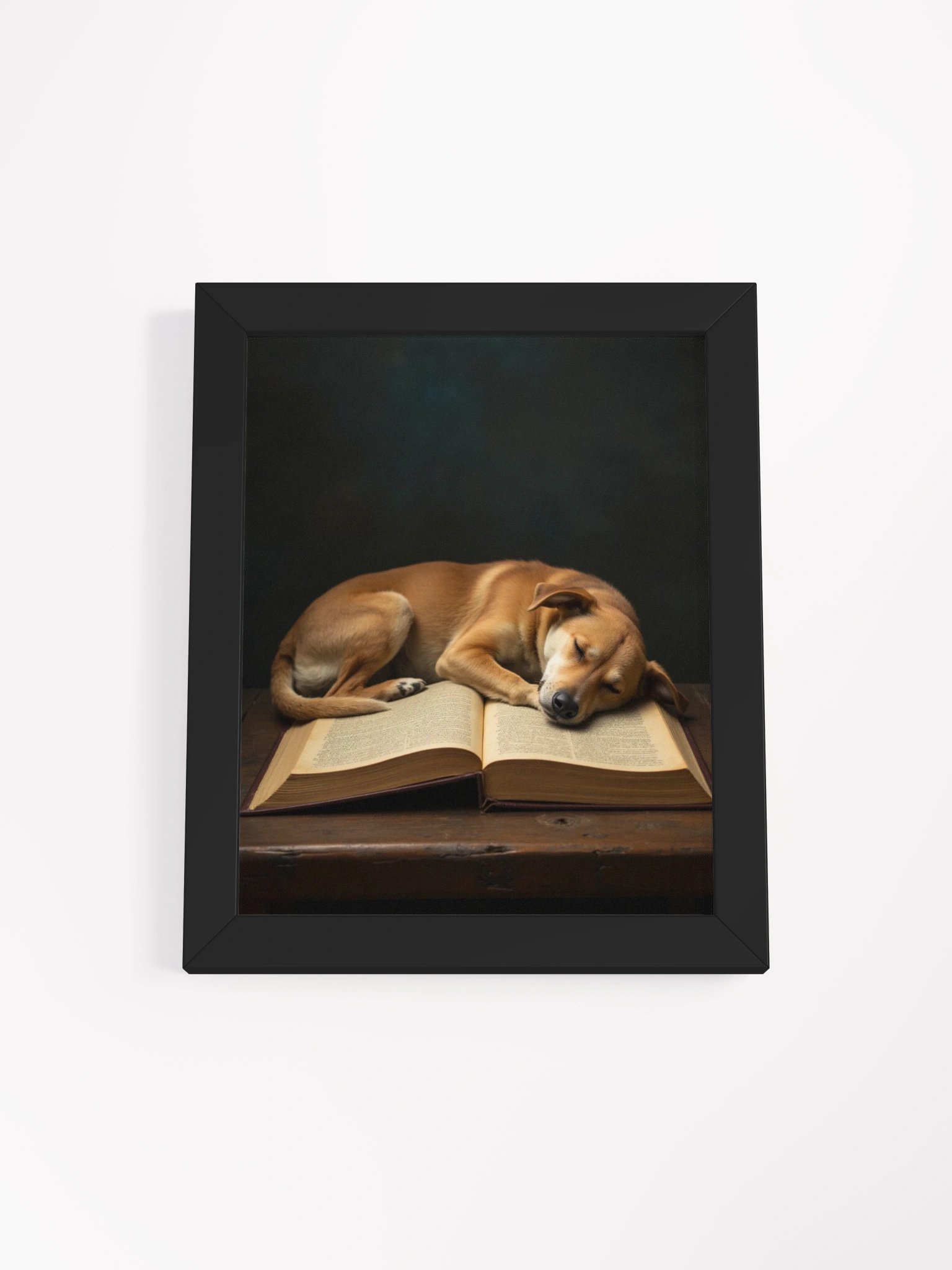 Sleeping Potcake Framed Picture 2 product image (10)