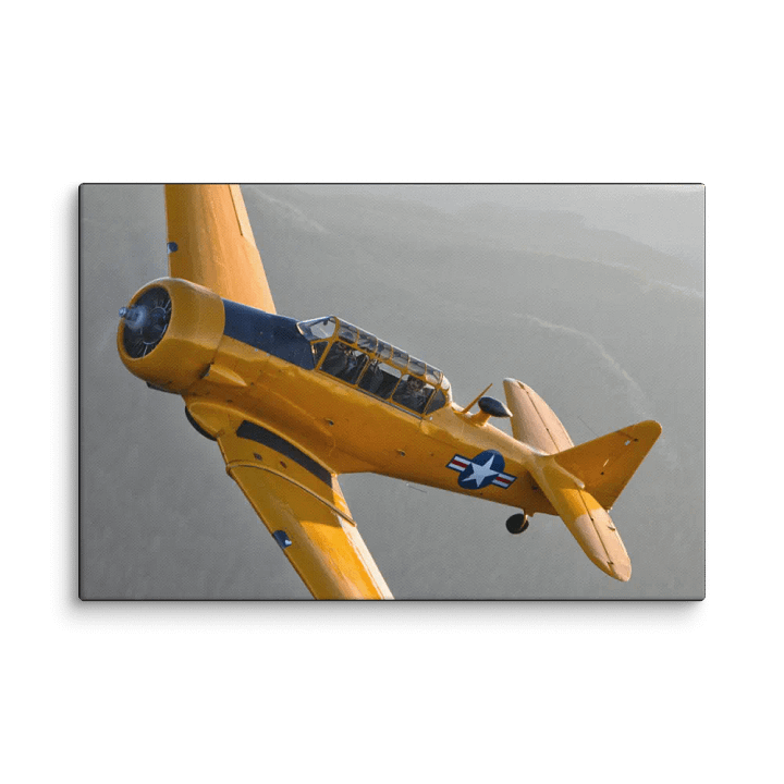 T-6 Texan in Flight product image (1)