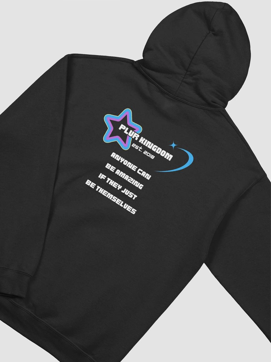 PLUR Kingdom Hoodie product image (4)