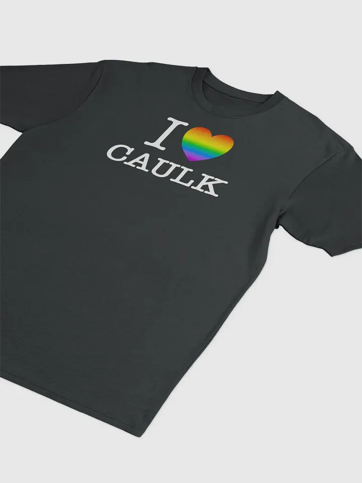 I LOVE CAULK Rainbow / Dark Heavyweight Tee product image (2)