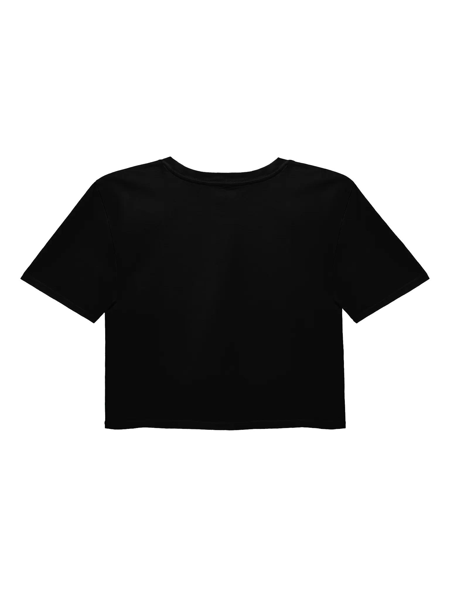 Summer Girls GO! Crop Top product image (2)