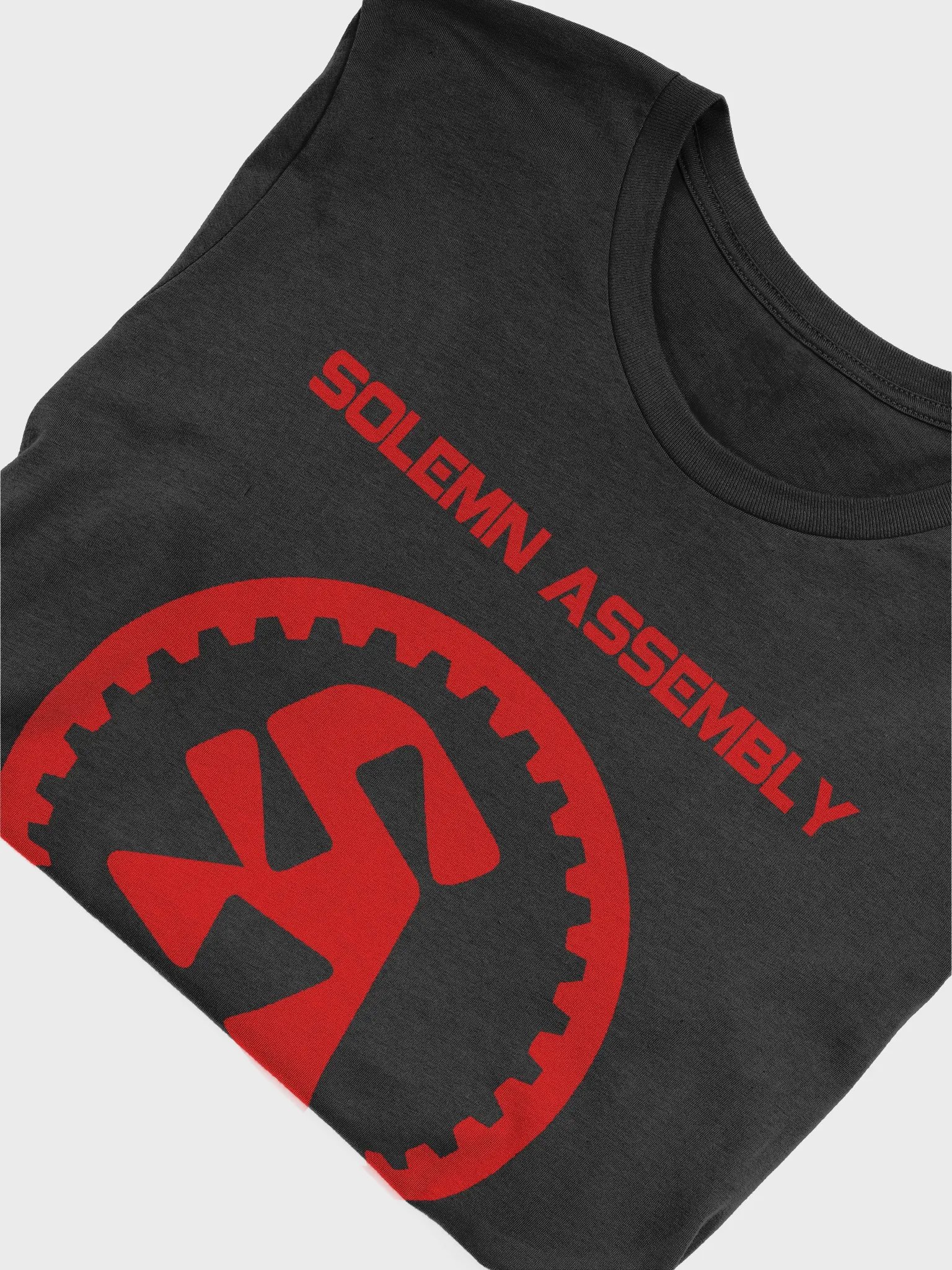 SOLEMN ASSEMBLY HUMAN SOFT TEE product image (10)