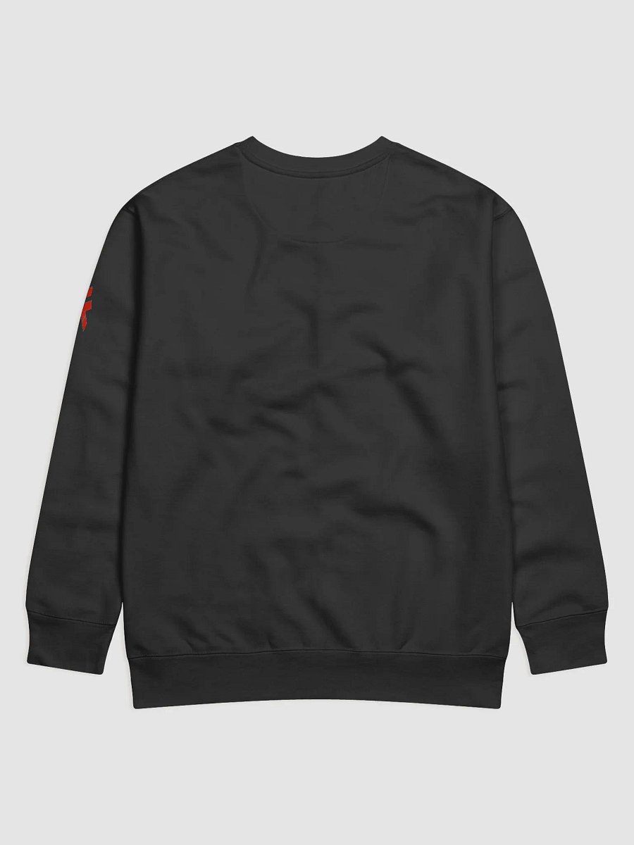 Collector Sweatshirt product image (2)