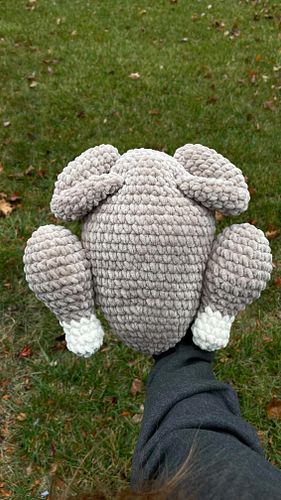 Happy Thanksgiving! 🦃🍽 🤍

#crochetbykadin #crochetersofinstagram #crochetplushie #craftshow #craftshowprep #craftshowdisplay ...