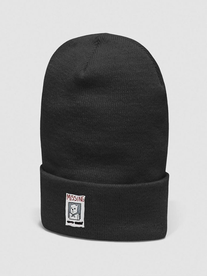 missing beanie product image (2)