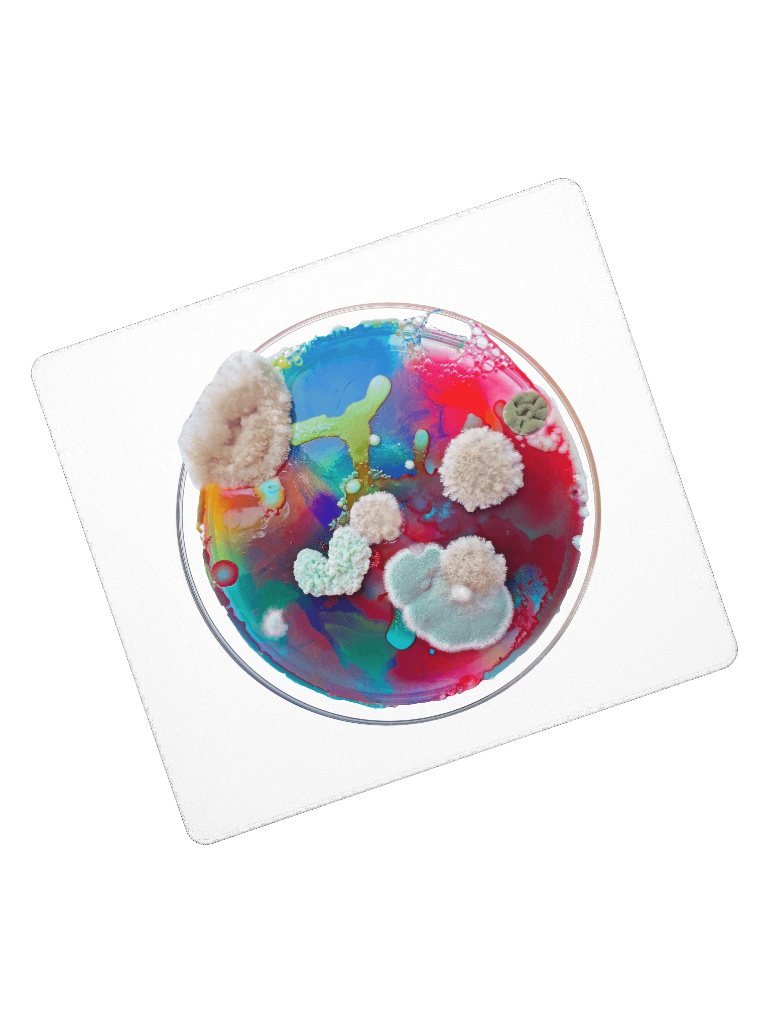 Gaming dish product image (7)