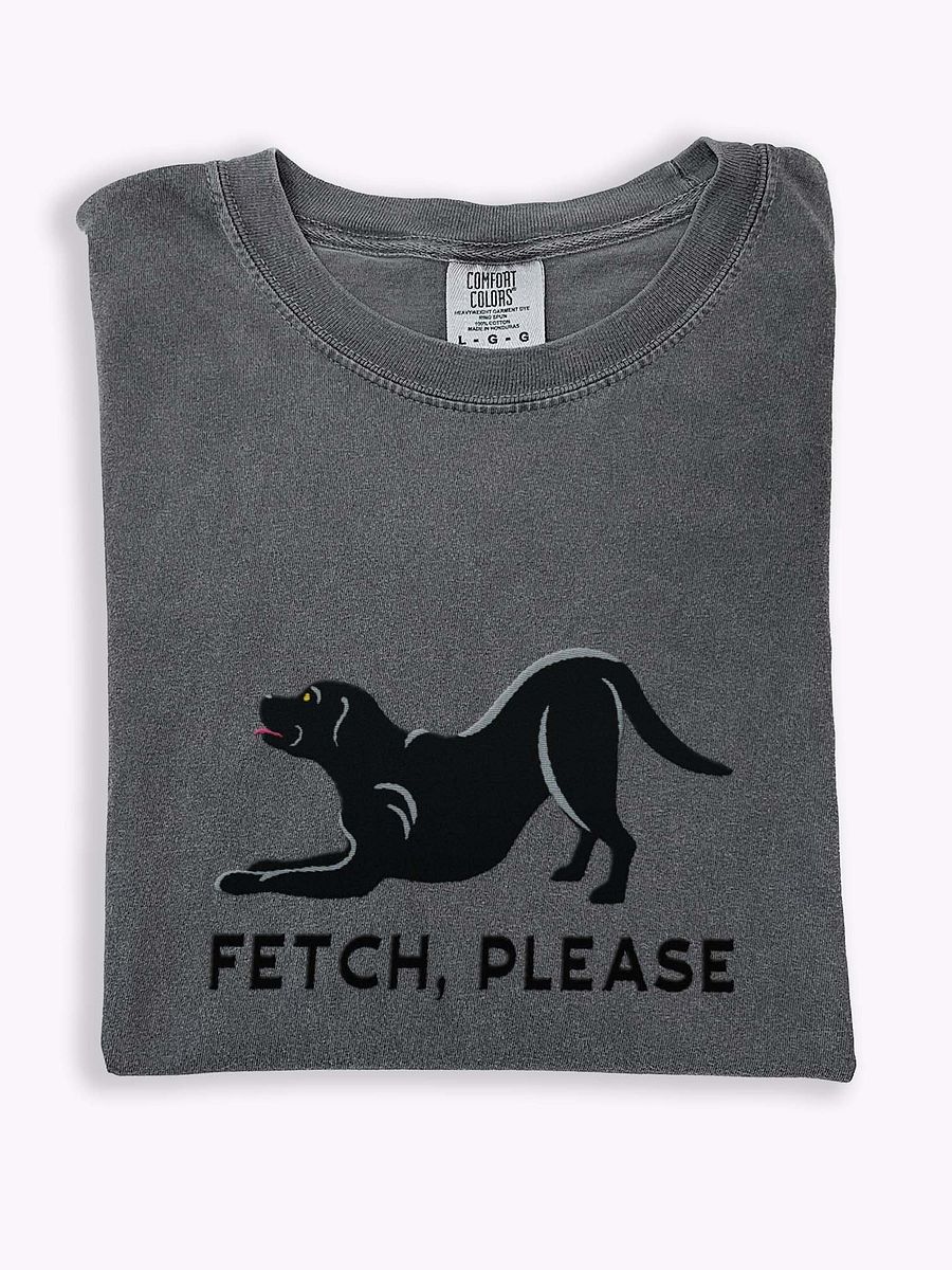 Fetch Please T-Shirt(Embroidered) of a Labrador Retriever(Black) product image (46)
