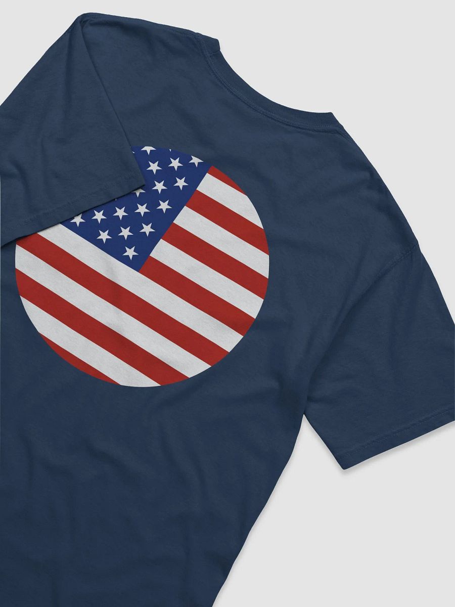 Stars & Stripes 2024 Presidential Election Comfort Tee product image (20)