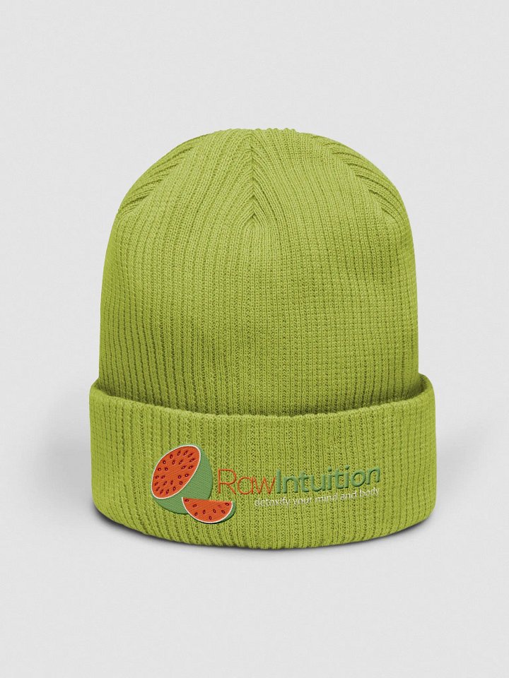 Raw Intuition Watermelon Ribbed Beanie product image (1)